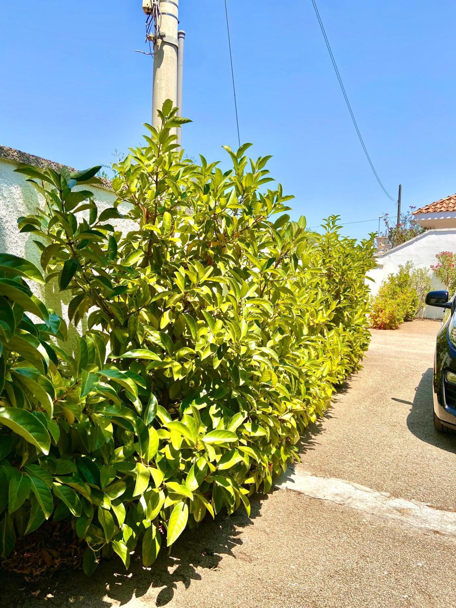 B&B Costa Azzurra Porto Cesareo Eksteriør billede